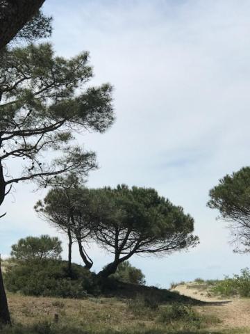 Oh! Campings - La Tamarissiere Agde Exterior foto
