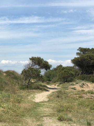 Oh! Campings - La Tamarissiere Agde Exterior foto